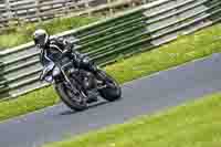 Lower Group Silver_Grey Bikes